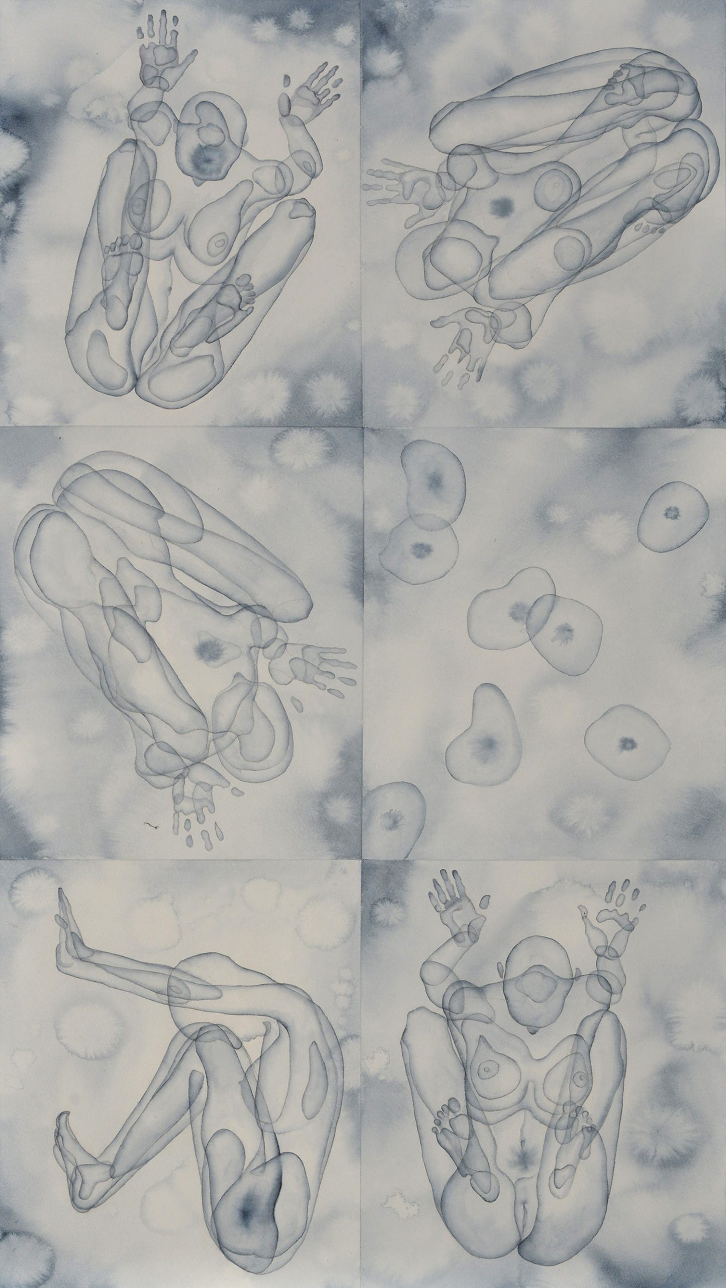 Stefano Bolzano, Morfogenesi emotiva 02, acquerello su carta applicato su due pannelli, 61x108,5 cm, 2019.